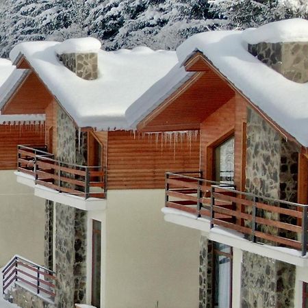 Villa Mtashi Bakuriani Bagian luar foto