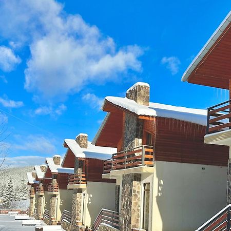 Villa Mtashi Bakuriani Bagian luar foto