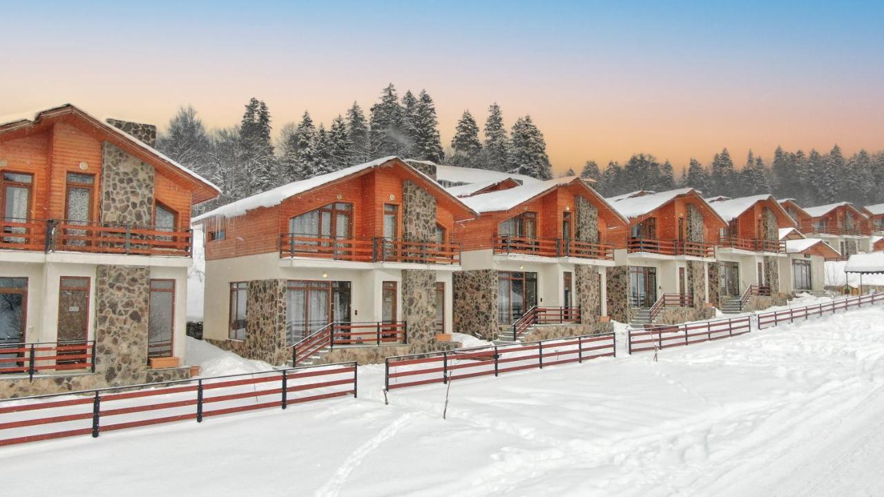 Villa Mtashi Bakuriani Bagian luar foto