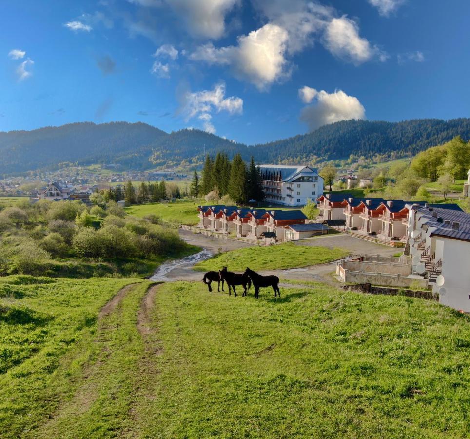 Villa Mtashi Bakuriani Bagian luar foto