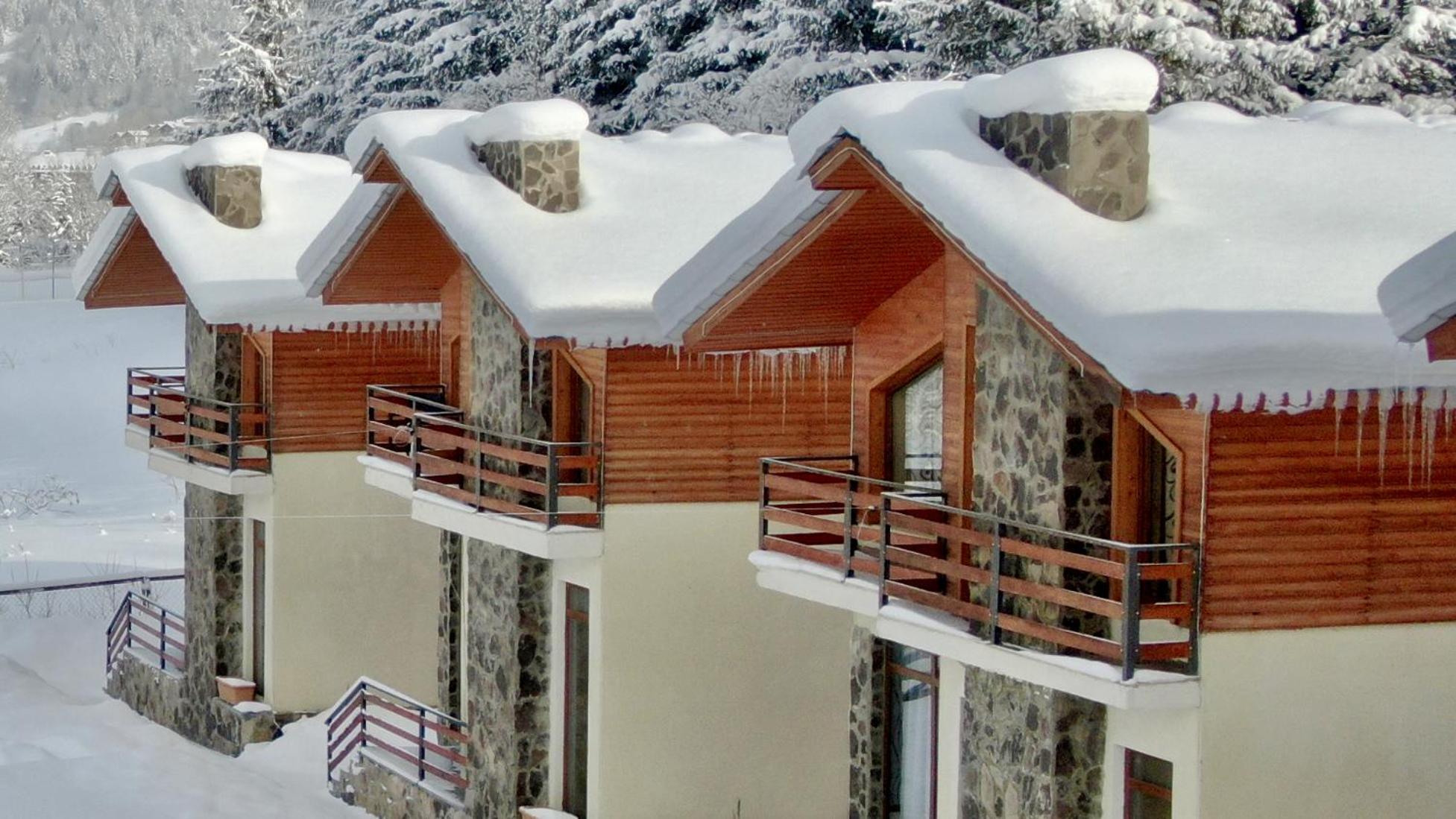 Villa Mtashi Bakuriani Bagian luar foto