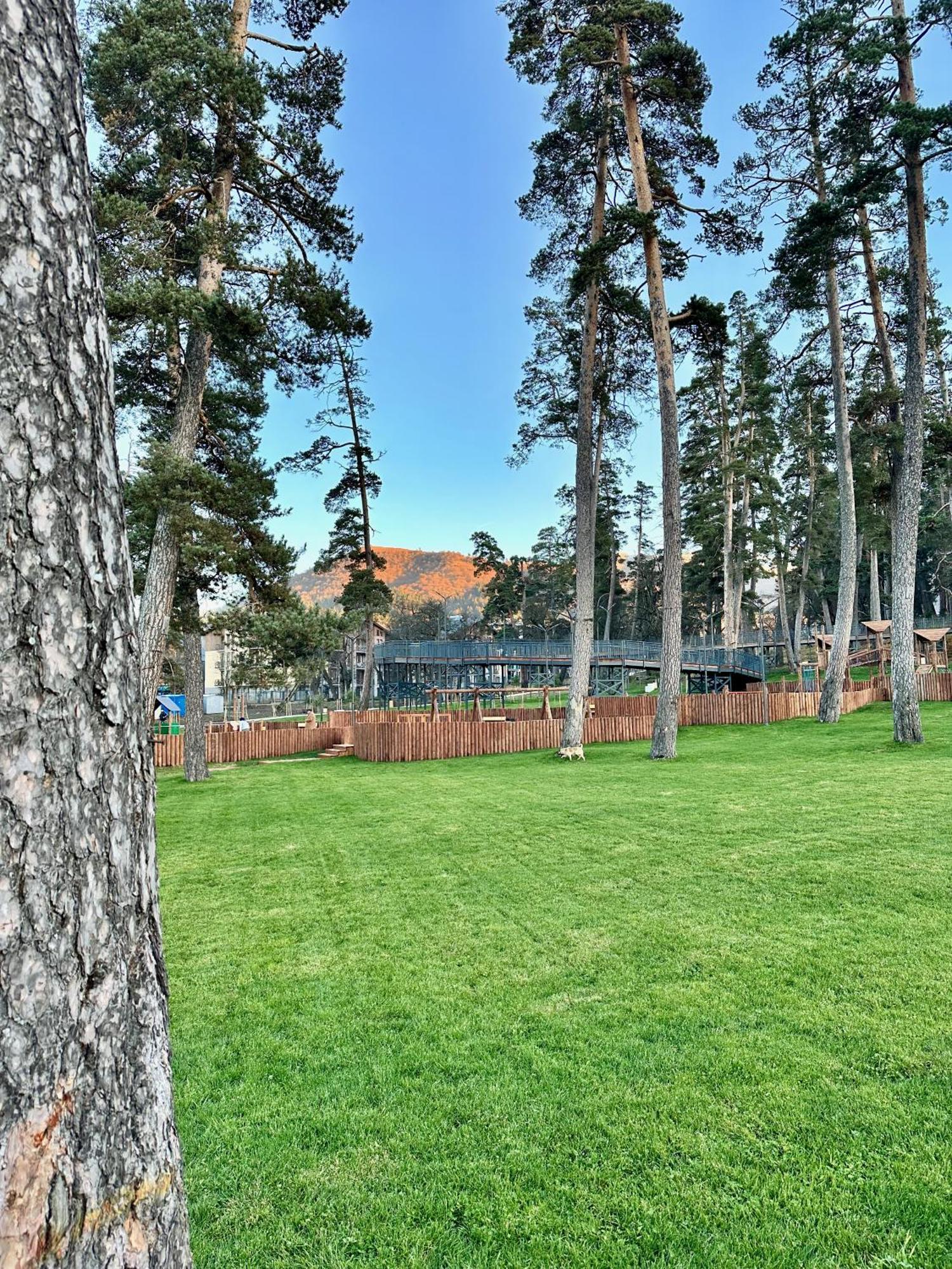 Villa Mtashi Bakuriani Bagian luar foto