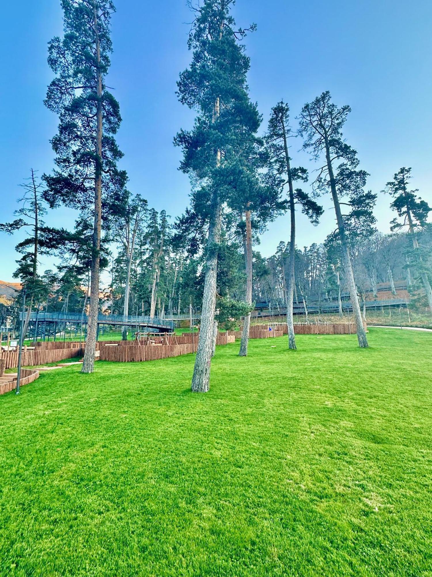 Villa Mtashi Bakuriani Bagian luar foto