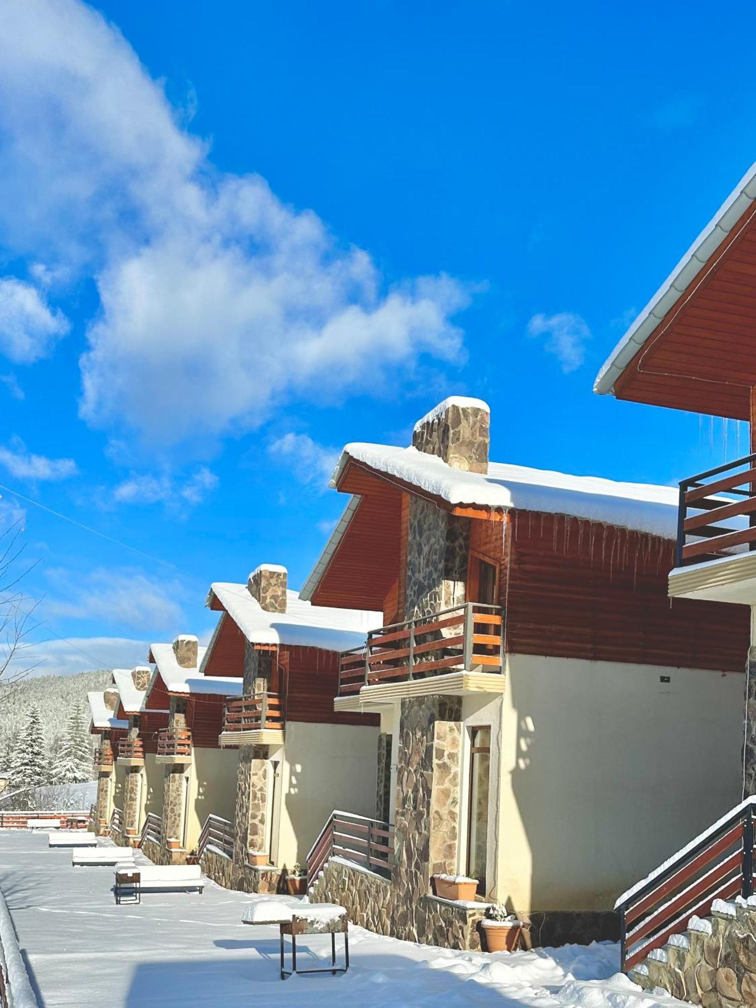 Villa Mtashi Bakuriani Bagian luar foto
